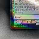 Collectible Thumbnail