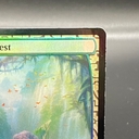 Collectible Thumbnail