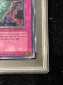 【PSA9】異次元の落とし穴 レリーフ 旧アジア版 アルティメットレア CRV-AE057 1枚 - Thumbnail 5