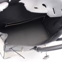 Collectible Thumbnail