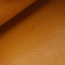 Collectible Thumbnail