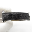 Collectible Thumbnail