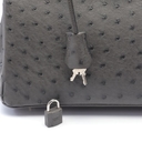 Collectible Thumbnail