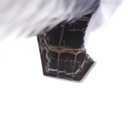 Collectible Thumbnail