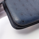 Collectible Thumbnail