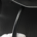 Collectible Thumbnail