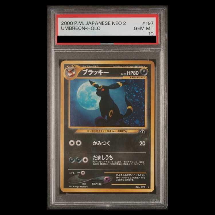 【PSA10】ブラッキー キラ 旧裏 ★ 1枚 - TCG