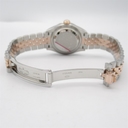 Collectible Thumbnail