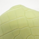 Collectible Thumbnail