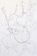 Collectible Thumbnail